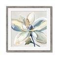 Picture of Single Bloom I _GroupedProduct_Square_Framed_Matted_
