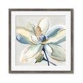 Picture of Single Bloom I _GroupedProduct_Square_Framed_Matted_