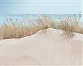 Picture of Sand Bars _GroupedProduct_Rectangle_Landscape_Unframed_Print_Only_