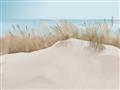 Picture of Sand Bars _GroupedProduct_Rectangle_Landscape_Unframed_Print_Only_