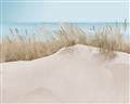 Picture of Sand Bars _GroupedProduct_Rectangle_Landscape_Unframed_Print_Only_