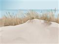Picture of Sand Bars _GroupedProduct_Rectangle_Landscape_Unframed_Print_Only_