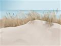 Picture of Sand Bars _GroupedProduct_Rectangle_Landscape_Unframed_Print_Only_