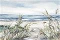 Picture of Beach Grass _GroupedProduct_Rectangle_Landscape_Unframed_Print_Only_