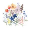 Picture of Spring Flowers II _GroupedProduct_Square_Unframed_Print_Only_