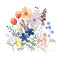 Picture of Spring Flowers II _GroupedProduct_Square_Unframed_Print_Only_