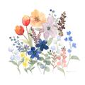Picture of Spring Flowers II _GroupedProduct_Square_Unframed_Print_Only_