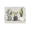 Picture of Plants and Flowers _GroupedProduct_Rectangle_Landscape_Unframed_Print_Only_