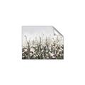Picture of Spring Garden _GroupedProduct_Rectangle_Landscape_Unframed_Print_Only_