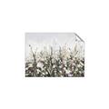 Picture of Spring Garden _GroupedProduct_Rectangle_Landscape_Unframed_Print_Only_