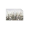 Picture of Spring Garden _GroupedProduct_Rectangle_Landscape_Unframed_Print_Only_