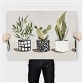 Picture of Plants and Flowers _GroupedProduct_Rectangle_Landscape_Canvas_
