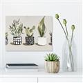 Picture of Plants and Flowers _GroupedProduct_Rectangle_Landscape_Canvas_