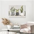 Picture of Plants and Flowers _GroupedProduct_Rectangle_Landscape_Canvas_
