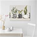 Picture of Plants and Flowers _GroupedProduct_Rectangle_Landscape_Canvas_