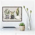 Picture of Plants and Flowers _GroupedProduct_Rectangle_Landscape_Canvas_Framed_