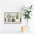 Picture of Plants and Flowers _GroupedProduct_Rectangle_Landscape_Canvas_Framed_