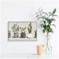 Picture of Plants and Flowers _GroupedProduct_Rectangle_Landscape_Canvas_Framed_