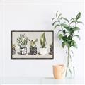 Picture of Plants and Flowers _GroupedProduct_Rectangle_Landscape_Canvas_Framed_
