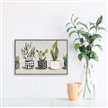 Picture of Plants and Flowers _GroupedProduct_Rectangle_Landscape_Canvas_Framed_