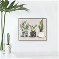 Picture of Plants and Flowers _GroupedProduct_Rectangle_Landscape_Canvas_Framed_