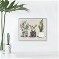 Picture of Plants and Flowers _GroupedProduct_Rectangle_Landscape_Canvas_Framed_
