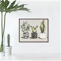 Picture of Plants and Flowers _GroupedProduct_Rectangle_Landscape_Canvas_Framed_