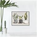Picture of Plants and Flowers _GroupedProduct_Rectangle_Landscape_Canvas_Framed_