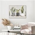 Picture of Plants and Flowers _GroupedProduct_Rectangle_Landscape_Canvas_Framed_