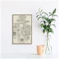 Picture of Sketched Florals _GroupedProduct_Rectangle_Portrait_Canvas_Framed_
