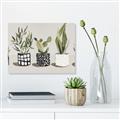 Picture of Plants and Flowers _GroupedProduct_Rectangle_Landscape_Unframed_Print_Only_