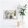 Picture of Plants and Flowers _GroupedProduct_Rectangle_Landscape_Unframed_Print_Only_