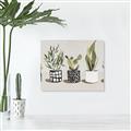 Picture of Plants and Flowers _GroupedProduct_Rectangle_Landscape_Unframed_Print_Only_