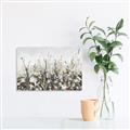 Picture of Spring Garden _GroupedProduct_Rectangle_Landscape_Unframed_Print_Only_