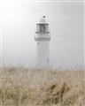 Picture of Lighthouse Dream _GroupedProduct_Rectangle_Portrait_Photography _GroupedProduct_Rectangle_Portrait_Unframed_Print_Only_