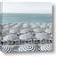 Picture of Seaside Umbrellas
