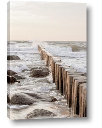 Picture of Rocks wood Sea