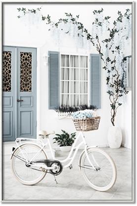 Picture of White Bike