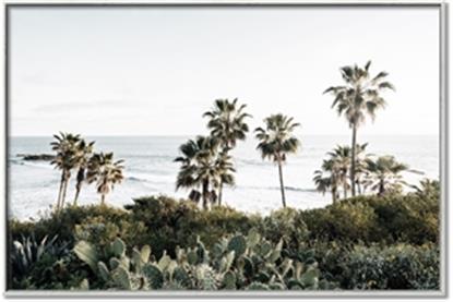 Picture of Palms Above the Sea