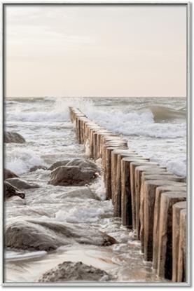 Picture of Rocks wood Sea