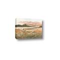 Picture of Colorful Landscape I _GroupedProduct_Rectangle_Landscape_Canvas_