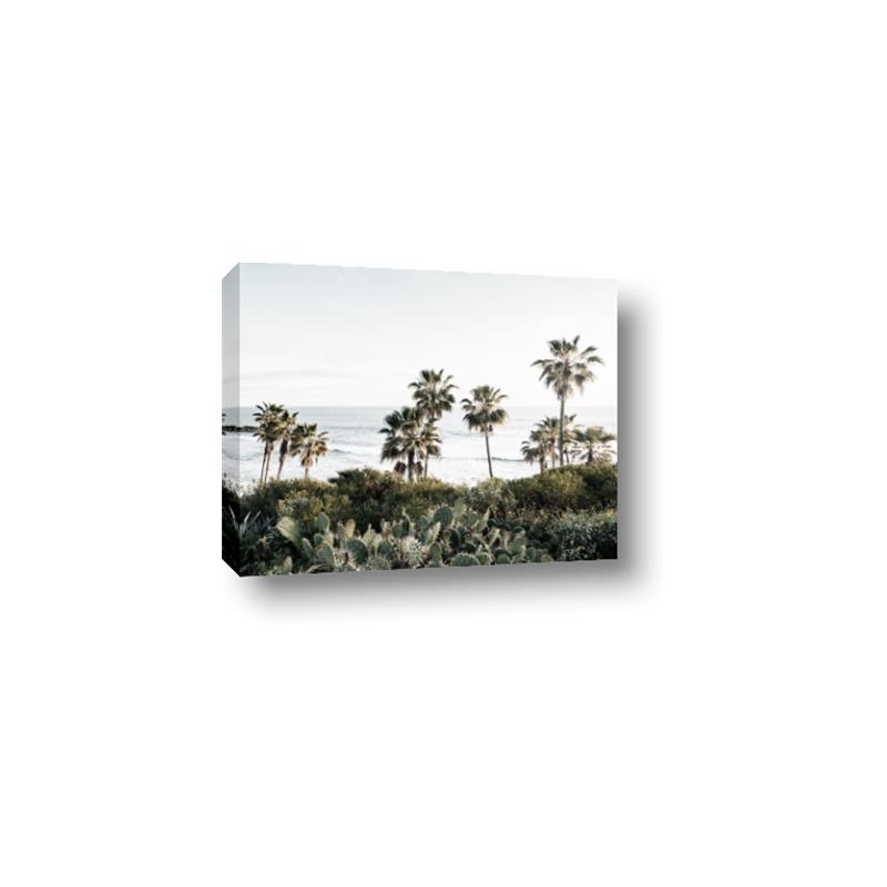Picture of Palms Above the Sea _GroupedProduct_Rectangle_Landscape_Photography _GroupedProduct_Rectangle_Landscape_Canvas_