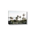 Picture of Palms Above the Sea _GroupedProduct_Rectangle_Landscape_Photography _GroupedProduct_Rectangle_Landscape_Canvas_