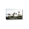 Picture of Palms Above the Sea _GroupedProduct_Rectangle_Landscape_Photography _GroupedProduct_Rectangle_Landscape_Canvas_