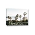 Picture of Palms Above the Sea _GroupedProduct_Rectangle_Landscape_Photography _GroupedProduct_Rectangle_Landscape_Canvas_