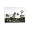 Picture of Palms Above the Sea _GroupedProduct_Rectangle_Landscape_Photography _GroupedProduct_Rectangle_Landscape_Canvas_