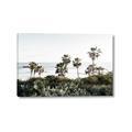 Picture of Palms Above the Sea _GroupedProduct_Rectangle_Landscape_Photography _GroupedProduct_Rectangle_Landscape_Canvas_