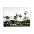 Picture of Palms Above the Sea _GroupedProduct_Rectangle_Landscape_Photography _GroupedProduct_Rectangle_Landscape_Canvas_