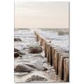 Picture of Rocks wood Sea _GroupedProduct_Rectangle_Portrait_Photography _GroupedProduct_Rectangle_Portrait_Canvas_