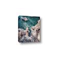 Picture of Private Cove _GroupedProduct_Rectangle_Portrait_Photography _GroupedProduct_Rectangle_Portrait_Canvas_